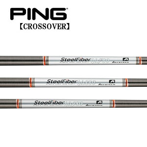 s/PING i NXI[o[ ACA^[eBeB X[uVtg TRUE TEMPER gD[ep[AEROTECH GAebNSTEEL FIBER X`[t@Co[ HLS GC`GGX