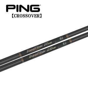 s/PING i NXI[o[ ACA^[eBeB X[uVtg TRUE TEMPER gD[ep[AEROTECH GAebNSTEEL FIBER X`[t@Co[ Private Reserve vCx[gU[u i 