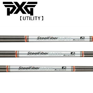 PXG [eBeB X[uVtg TRUE TEMPER gD[ep[AEROTECH GAebNSTEEL FIBER X`[t@Co[ HLS GC`GGX
