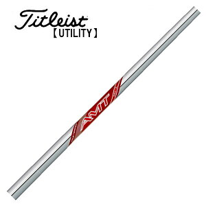 ^CgXg/Titleist [eBeB X[uVtg TRUE TEMPER gD[ep[ V AMT RED AMT bh