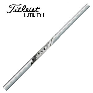 ^CgXg/Titleist [eBeB X[uVtg TRUE TEMPER gD[ep[ V AMT SILVER AMT Vo[