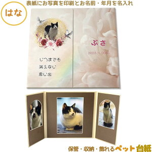 ybg䎆@ωJ^Cvi\Ɏʐ^ƖOEt𖼓ꂵ܂jgɂʐ^3[Bycg̎ʐ^ۊǎ[܂BALAybg