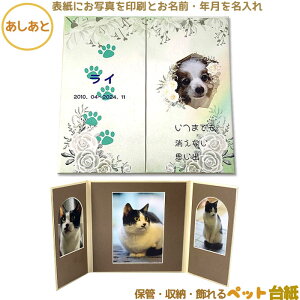 ybg䎆@ωJ^Cvi\Ɏʐ^ƖOEt𖼓ꂵ܂jgɂʐ^3[Bycg̎ʐ^ۊǎ[܂BALAybg