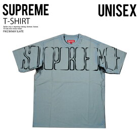 Supreme (シュプリーム) OVERPRINT KNOCKOUT S/S TOP (オーバープリント ノックアウト ショート スリーブ トップ) ユニセックス(メンズ モデル) Tシャツ 半袖 カジュアル ストリート ヒップホップ スケーター 23AW 23FW スレート (ブルーグレー ) FW23KN69 SLATE dpd