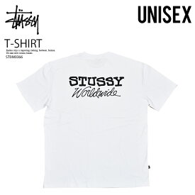 STUSSY ステューシー Tシャツ WORLDWIDE SS TEE (ワールドワイド ショートスリーブ T) トップス Tシャツ 半袖 半袖Tシャツ カットソー カジュアル スケーター ストリート ロゴ メンズ レディース ユニセックス WHITE (ホワイト) 白 ST0M0366 エンドレストリップ