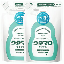 ウタマロ うたまろ キッチン キッチン洗剤詰替え つめかえ 食器洗剤 食器洗い用洗剤グリーンハーブの香り250ml 日本製 2個 まとめ買い【送料無料】 食器 調理器具用 スポンジ除菌