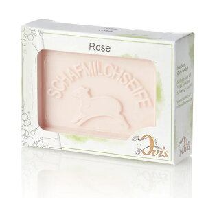 w10/26܂Ń|Cg3{xAălbg1v[g4 Ђ~N r~N Ό Ō`Ό ێ  {fB[\[v {fB[Vv[ I[XgAY e100g Ō`