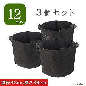�s�D�z�|�b�g 12�K���� 3�� �s�D�z�v�����^�[ 13�� 14�� �A�ؔ� �t�F���g�v�����^�[ �y�� �y�� �ƒ�؉� �[�� �t�F���g �z�� ��