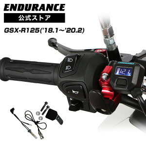 ENDURANCEiGfXjGSX-R125 ('18.1`'20.2) Obvq[^[Zbg HGX zbgObv/dvt/5iK/S/obNCgt/S180ۏ oCN