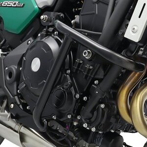 Z650RS ER650M GWK[h oCN