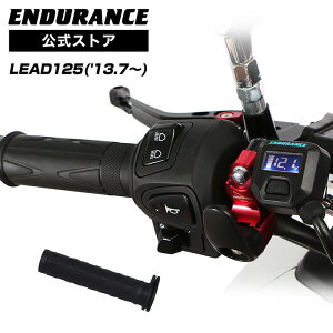 ENDURANCEiGfXj[h125 LEAD125 Obvq[^[Zbg HG115 zbgObv/dvt/5iK/S180ۏ oCN