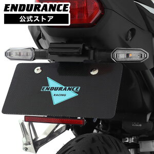 CB750 HORNET RH24 �t�F���_�[���X�L�b�g �o�C�N