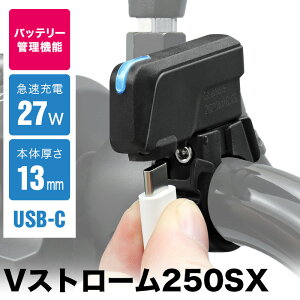 VXg[250SX EL11L USB TypeC `[W[ SP VXg[250SXp oCN