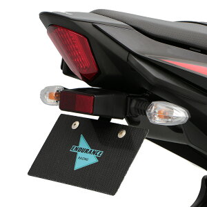 GSX250R DN12B DN11A tF_[XLbg oCN