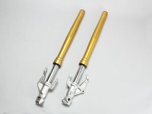 y[XpzCBR250RR FF ASSY SET (RH&LH)y󒍐Yiz oCN