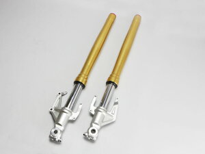y[XpzCBR250RR FF ASSY SET (RH&LH)y󒍐Yiz oCN