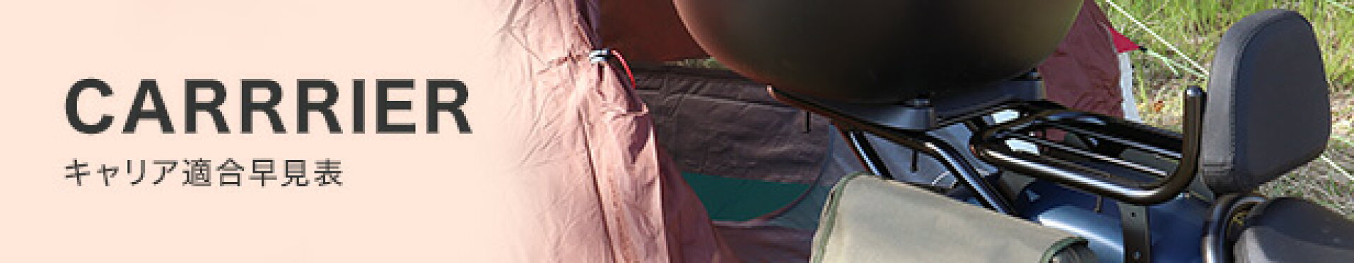 キャリア適合早見表