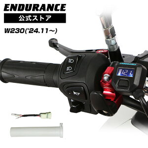 ENDURANCEiGfXjW230 BJ230A Obvq[^[Zbg HG125 zbgObv/dvt/5iK/GhLbvE\/S/obNCgt/S180ۏ oCN