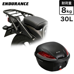 ENDURANCEiGfXju250/500 REBEL250/500 MC49 PC60 ALA{A{bNXZbg30L ubN oCN
