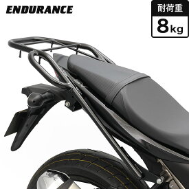 ENDURANCE（エンデュランス）SV650 SV650X VP55E VP55B タンデムグリップ付き リア キャリア バイク