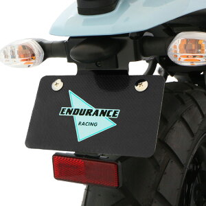 uGg[|Cg5{vXSR125 RE46J XSR155 RG63 tF_[XLbg oCN