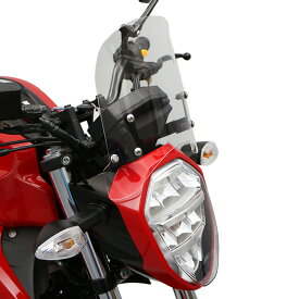 ジクサー150 ED13N ジクサー250 ED22B メーターバイザーセット（クリア）＋取り付けキット バイク