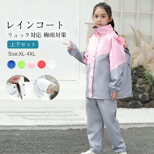 CR[g LbY CEFA ㉺Zbg hZΉ j̎q ̎q CX[c oCU[ w ] ʊwp bNΉ ~J΍