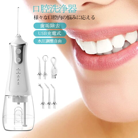 【メーカー希望小売価格7980円→3980円！】 口腔洗浄器 ジェットウォッシャー 口腔洗浄機 歯垢除去 超音波 電動 替えノズル4本付き ウォーターフロス 歯間 歯石ジェット洗浄 USB充電式