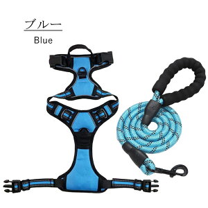  n[lX [h  [ht S 2_Zbg ybg Ȃ ^ Ȃ S̏Ȃ EFAn[lX p nht