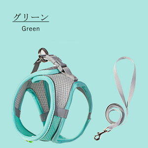  n[lX [h  [ht S 2_Zbg ybg L Ȃ ^ Ȃ S̏Ȃ EFAn[lX ʋC 