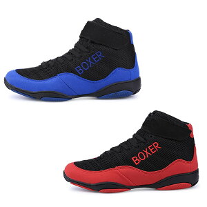 {NVOV[YY iZ}X^[ g[jObV [X yʃ{NVOV[Y lp XOV[Y{NVOu[cS\[Robgg[jOX|[c