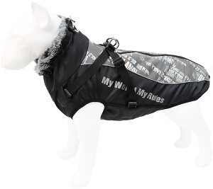  R[g WPbg 2WAYp ̌^ȓ _ExXg hbOEFA ~ EȒP h ۉ h ^ oU Iׂ5F