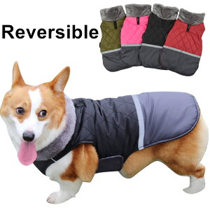 t[XJ[o[VuEH[hbOxXgR[gn[lXz[t ^ ^ ^ Č 4J[