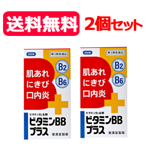 <br>ビタミンBBプラス　「クニヒロ」<br>　250錠×2