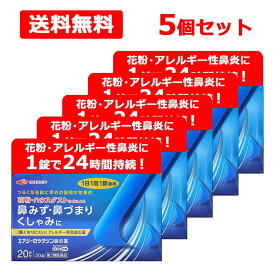 【第2類医薬品】ロラタジン エナジー鼻炎薬 20錠×5　合計100錠　100日分 1日1回 眠くなりにくい ※セルフメディケーション税制対象商品 花粉症対策 花粉対策 アレルギー専用鼻炎薬 薬 花粉症 花粉 花粉症薬 メール便 送料無料