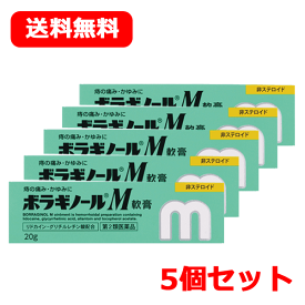 5/25限定！最大100％Pバック＆最大1,000円OFFクーポン＆全品2％OFFクーポン!【第2類医薬品】ボラギノールM軟膏　20g×5個セット【緑箱・グリーン】メール便 送料無料 まとめ割