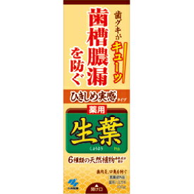 4/25限定！最大1,000円OFFクーポン！＆全品2％OFFクーポン！【小林製薬】　ひきしめ実感　薬用　生葉100g