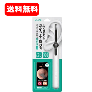 11/25Iő100PobN1,000~OFFN[|ɑSi2OFFN[|! [ ySB C&SzX}[g鎨XO@zCg@1{