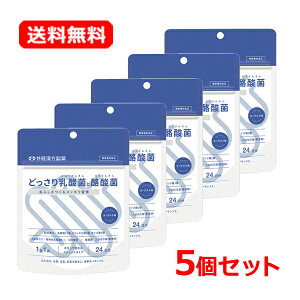 yE5Zbgzy䓡zǂ_ۂƗ_ 2g×24 24×5Zbg_ rtBYX IS [OgTvg Ȃň߂XeBbN^CvyN⏕