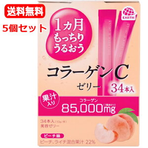 y5Zbg@zyA[Xz1 邨R[QC[[ s[` (10gx34{)x5mJtFC@{Y@Dw̕ɂe[[ r^~ R[Q