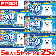 6/5限定！最大100％Pバック＆1,000円OFFクーポンさらに全品2％OFFクーポン!送料無料！25個セット！　瞬間…