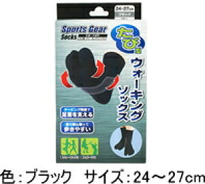 y񂹁zX|[cMA@ь^EH[LO\bNXiubN24`27cmjyeR[|[Vz