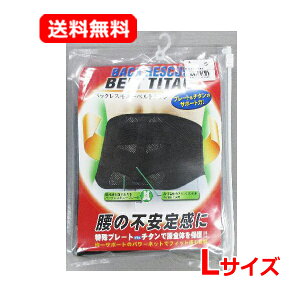 yE[ցzyیYƁzobNXL[xg`^ ubN LTCYŃRZbg  T|[g xgT|[^[ K jpTCY L  79`94cm