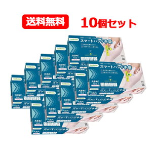 12/1Iő1,000~OFFN[|IɑSi|Cg2{IT SARAYA  10ZbgX}[g nh  傫߃TCY 100 10Zbg FEp pE_[t[ X}[gn