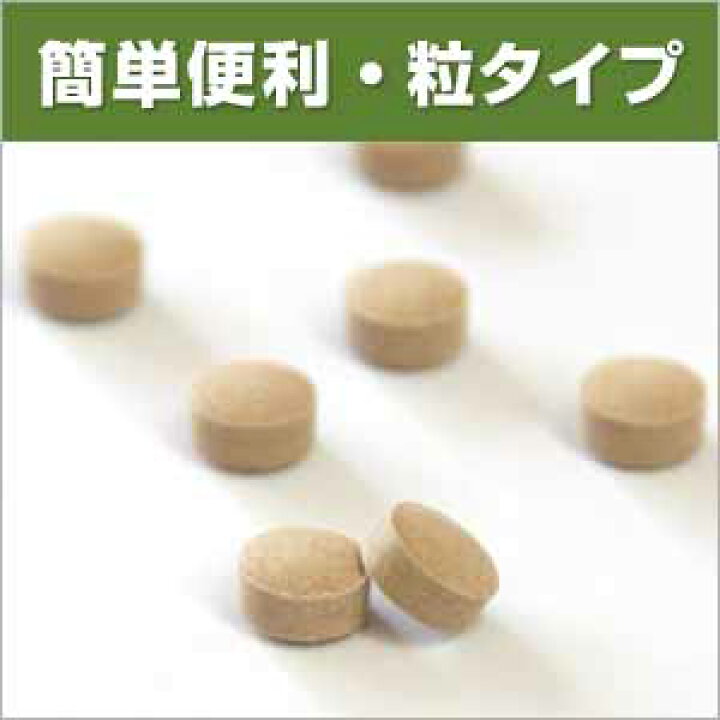 楽天市場】ウラジロガシ 流石粒(さすが粒)240粒【山本漢方】うらじろがし : エナジードラッグ 楽天市場】ウラジロガシ 流石粒(さすが粒)240粒【山本漢方】うらじろがし : エナジードラッグ