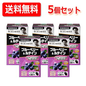 6/1限定！最大400円OFFクーポン！さらに全品ポイント2倍！【野口医学研究所】ブルーベリー＆ルテイン（510mg×60粒）約30日分　【栄養補助食品】送料無料・5個セット