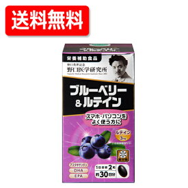 【野口医学研究所】ブルーベリー＆ルテイン（510mg×60粒）約30日分　【栄養補助食品】送料無料