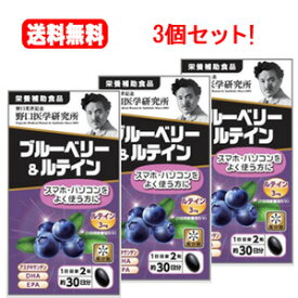 【送料無料！3個セット！】【野口医学研究所】ブルーベリー＆ルテイン（510mg×60粒）約30日分　【栄養補助食品】