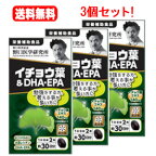 【送料無料！ 3個セット】【野口医学研究所】イチョウ葉＆DHA・EPA（510mg×60粒）約30日分×3個　【栄養補助食品】