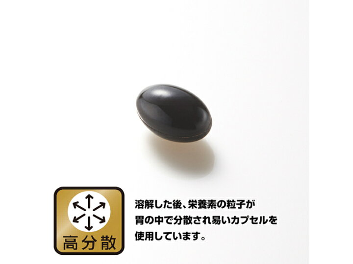 楽天市場】【送料無料!!】【野口医学研究所】 イチョウ葉＆DHA・EPA 